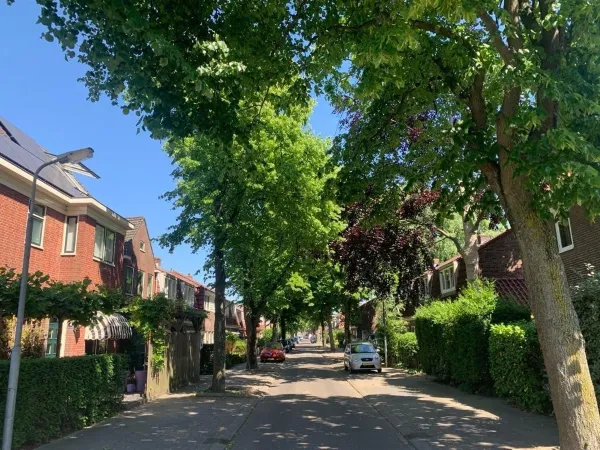 Hyacintstraat - Koog aan de Zaan