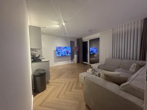 Mahoniehout - Zaandam