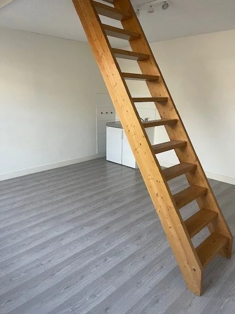 Nieuwe Beestenmarkt - Leiden